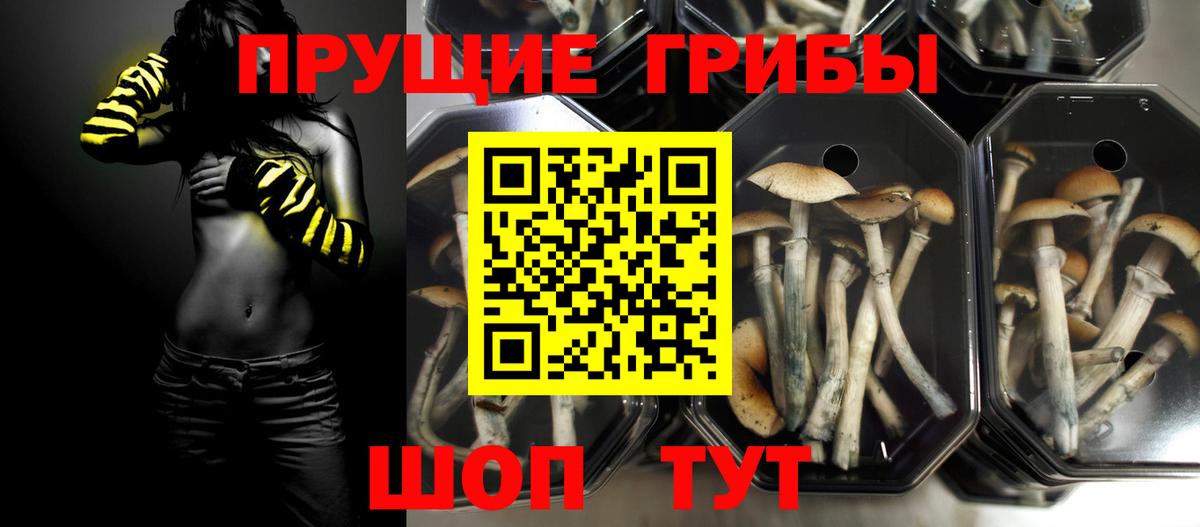 Псилоцибиновые грибы Psilocybine cubensis Наро-Фоминск